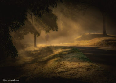 Misty Morn