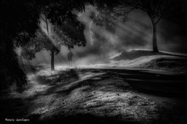 Misty Morn - B&W