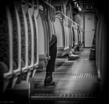 Train Ride Home